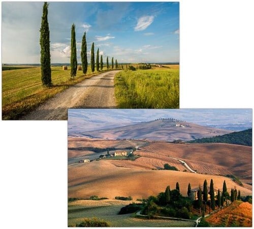 Tuscany Crypress Trees And Chianti