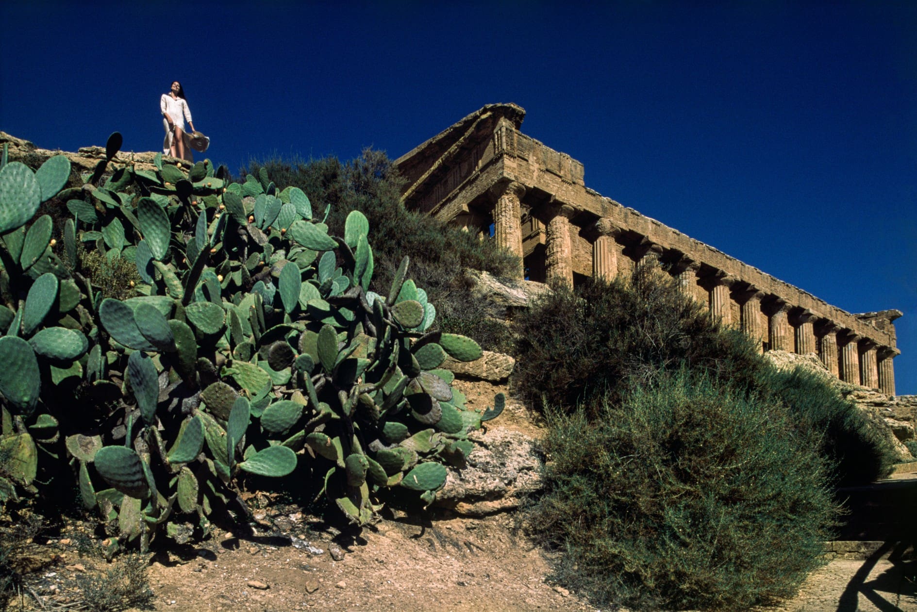 Valle Dei Templi in beautiful Sicily